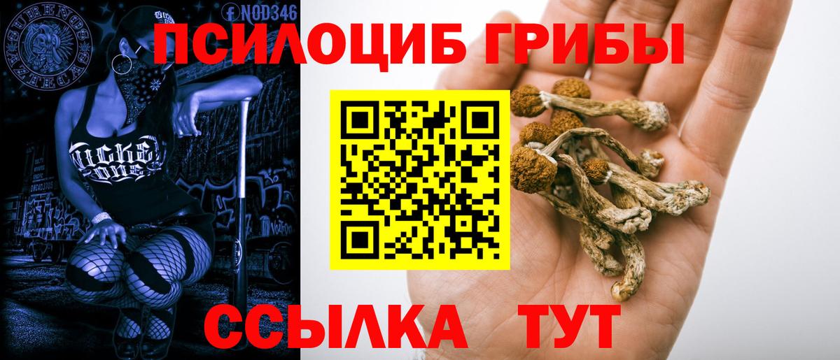 Галлюциногенные грибы GOLDEN TEACHER Клинцы